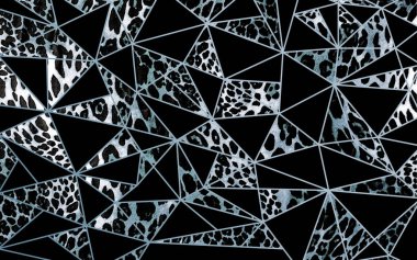 Soyut güzel hayvan derisi deseni