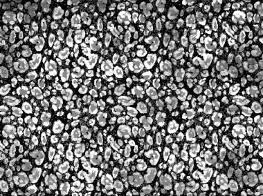 Soyut güzel hayvan derisi deseni