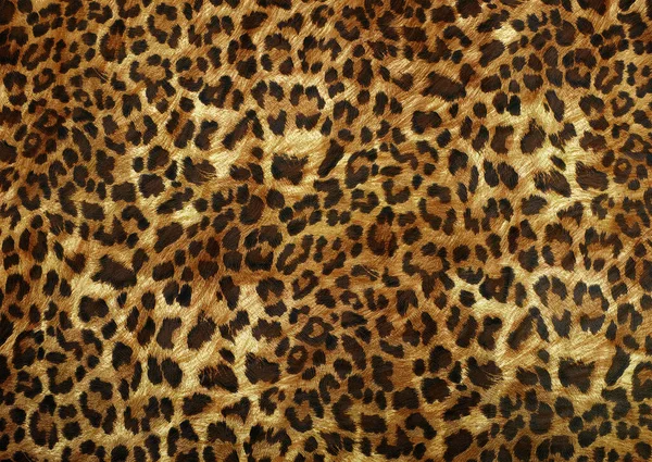 abstract beautiful animal skin pattern