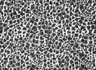 Soyut güzel hayvan derisi deseni