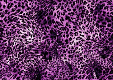 Soyut güzel hayvan derisi deseni