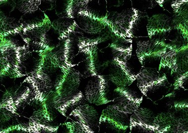 Güzel eşsiz hayvan derisi deseni