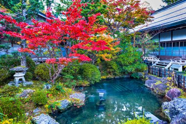 Japonya 'daki Koyasan Dağı' nda Red Maples, Pond ve Stone Lantern 'li geleneksel Japon Bahçesi. Yatay Yönlendirme