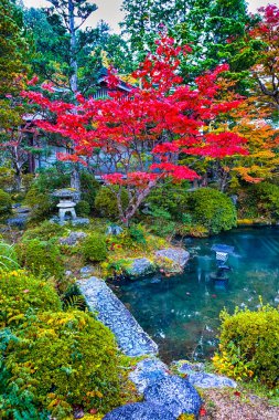 Japon Seyahat Konsepti. Japonya 'daki kutsal Koyasan Dağı' nda kırmızı akçaağaç ve fenerli geleneksel gölet. Dikey Çekim