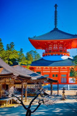 Asya Seyahat Belgeleri. Japonya 'daki Koya Dağı' nda (Koyasan) Danjo Garan Kutsal Tapınak Kompleksi 'nin (Konpon Daito) manzarası.