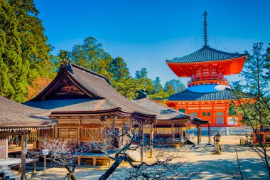 Japonya 'nın Çöküşü. Japonya 'daki Koyasan Dağı' nda Konpon Daito (Büyük Pagoda) ile Danjo Garan Kutsal Tapınağı manzarası. Yatay Yönlendirme