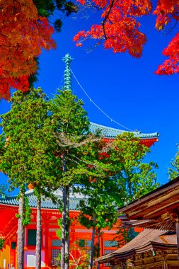 Japonya 'daki Koya Dağı' ndaki Line Seasonal Red Maples ile Danjo Garan Kutsal Tapınağı manzarası. Dikey Resim