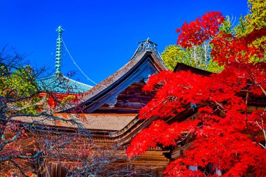 Geleneksel Japon Pagoda ve Sonbahar Kırmızı Akçaağaç Dalları Sonbahar Mevsimi. Yatay Görüntü