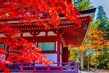Geleneksel Japon Pagoda 'sı sonbahar sezonu boyunca Kırmızı Akçaağaç ağaçlarıyla çevrili. Yatay Resim
