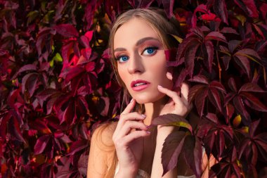 Ivy Oiutdoor ile Açık Elbise Giyen Sarışın Kadın Resminin Doğal Yakın Çekimi. Yatay Görüntü