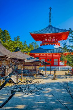 Japonya 'nın Çöküşü. Japonya 'daki Koyasan Dağı' nda Konpon Daito (Büyük Pagoda) ile Danjo Garan Kutsal Tapınağı manzarası. Dikey Resim Kompozisyonu