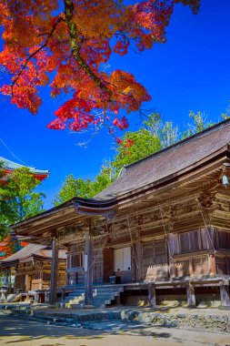 Japonya 'daki Koya Dağı' ndaki Line Seasonal Red Maples ile Danjo Garan Kutsal Tapınağı manzarası. Dikey Resim Kompozisyonu