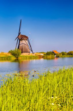 Hollanda seyahati. Hollanda 'nın Kinderdijk Köyü' nde Su Kanallı Geleneksel Hollanda Yel Değirmeni. Dikey Resim