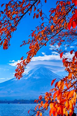 Romantik Japon Bağımsızlığı. Japonya 'daki Picturesque Fuji Dağı' nın önündeki Kawaguchiko Gölü. Dikey Resim Kompozisyonu