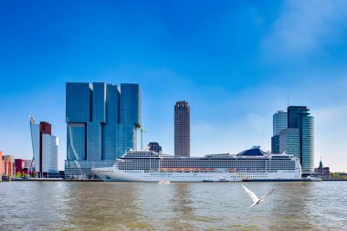 Rotterdam Liman Limanı 'nda, gündüz vakti limanın önünde demirlemiş büyük bir gemi. Yatay Resim bileşimi