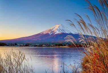 Kawaguchiko Gölü 'nde sabahın erken saatlerinde Japonya' da Sedge Grass ile Fuji Dağı. Yatay Resim