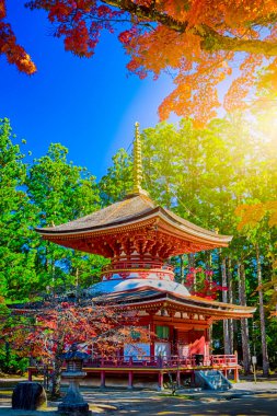 Japonya 'daki Koya Dağı' ndaki Line Seasonal Red Maples ile Danjo Garan Kutsal Tapınağı manzarası. Dikey Bileşim