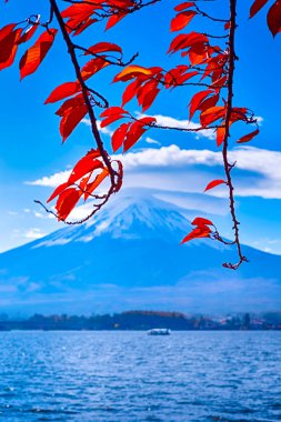Japon Destinasyonları. Kawaguchiko Gölü, Picturesque Fuji Dağı 'nın önünde, Japonya' da Küçük Tekne ile birlikte. Dikey Resim Kompozisyonu