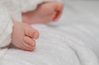 Bebeklerin fikirleri ve kavramları. Dört haftalık bebek ayaklı beyaz havlunun Macro yakın çekim görüntüsü. Yatay Resim Yönlendirmesi