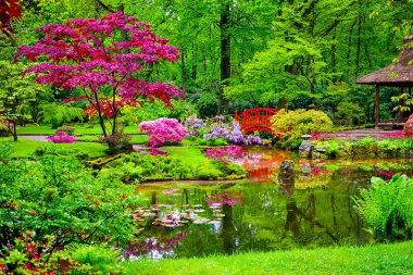 Hollanda 'yı dolaş. Hollanda 'da Lahey' deki Park Clingendael 'de (Den Haag) Asyalı Zen heykelleri olan Japon bahçesi yağmurdan hemen sonra. Yatay Resim Kompozisyonu