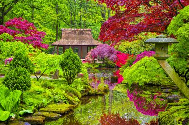 Hollanda 'da Hague' deki Park Clingendael 'de Asya Zen Heykelleri ve Kırmızı Akçaağaç ağaçlarıyla (Den Haag) kusursuz Japon Bahçesi. Yatay Yönlendirme