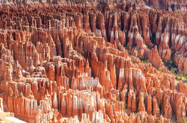 Kahverengi ve sarı kumtaşı kayalıklarla ve Pinnacles Bryce içinde