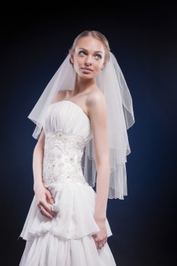 Wedding and Fashion Concept. Portrait of Young Caucasian Female 