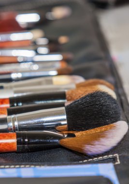 Beauty Concept And Ideas: Professional Makeup Brushes Set In Black Cover Case