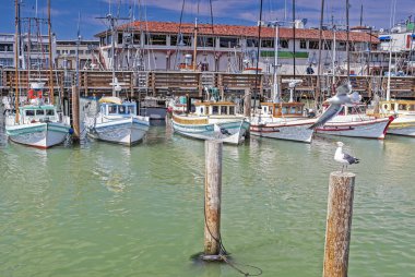 Line of Colorful Sailing Boats at Fishermans Wharf of San-Franci