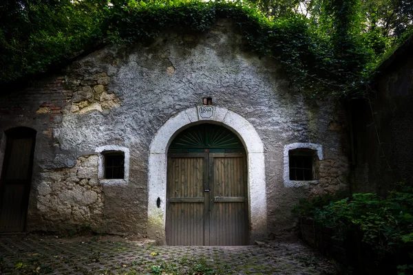 Vieille porte de cave à vin — Photo