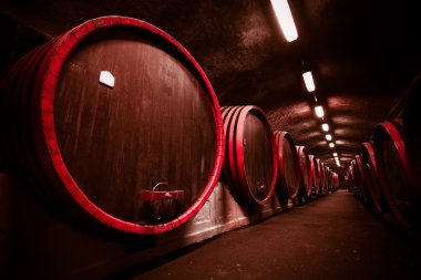 İçecek depolama cellar, varil