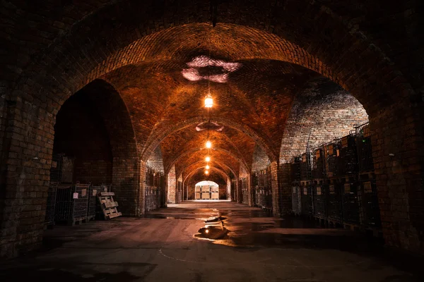 Cave de stockage de boissons — Photo