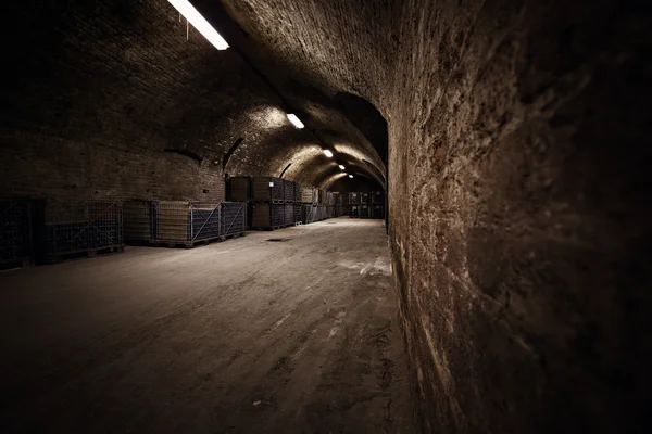 Cave de stockage de boissons — Photo