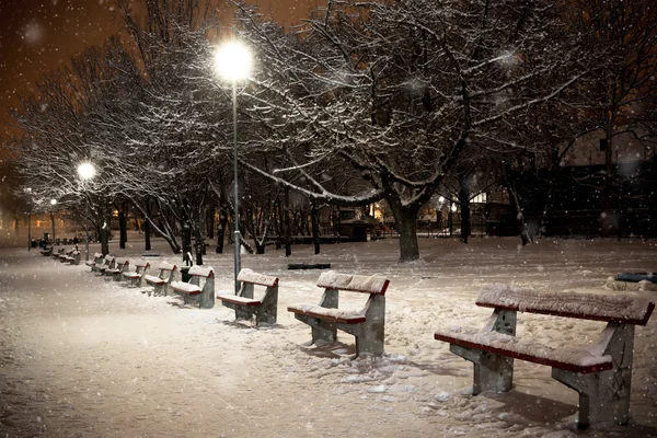 parkta bir kar yağışı