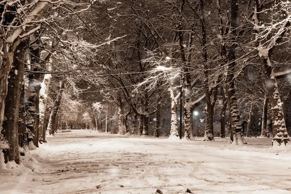 Снежная улица — стоковое фото