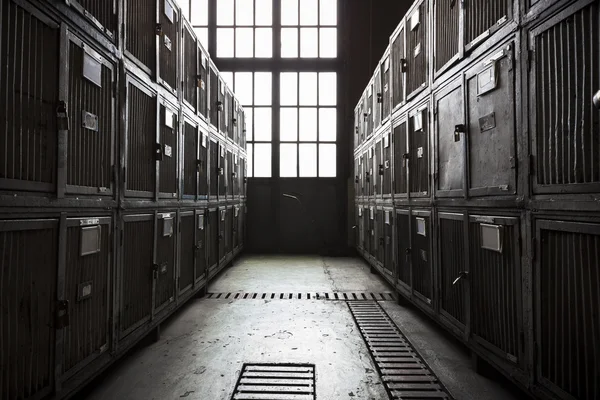 Dirty, steel tool cabinets in a factory — Stock Photo, Image