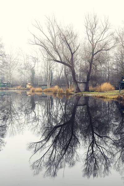 Winter landscape with a small lake, nature — Stock Photo, Image