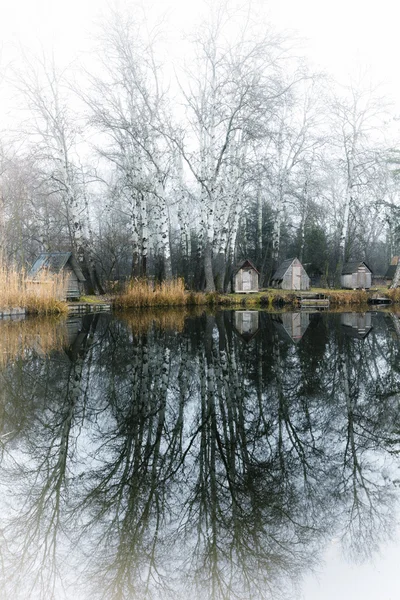 Winter landscape with a small lake, nature — Stock Photo, Image