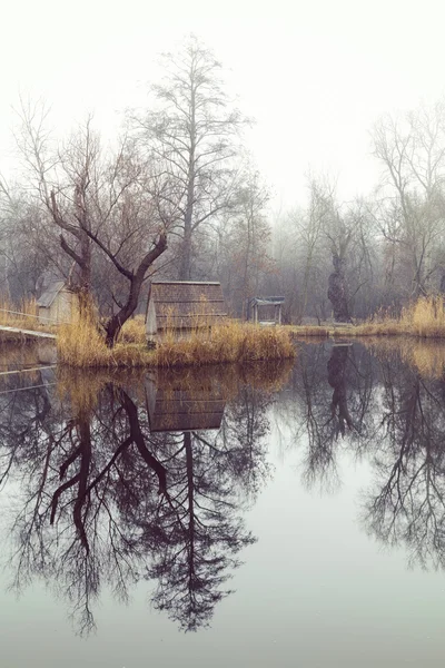 Winter landscape with a small lake, nature — Stock Photo, Image