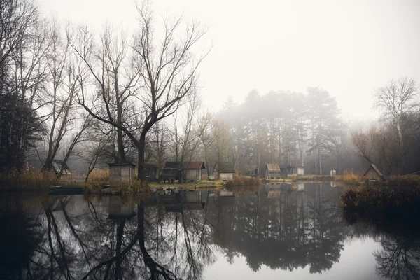 Winter landscape with a small lake, nature — Stock Photo, Image