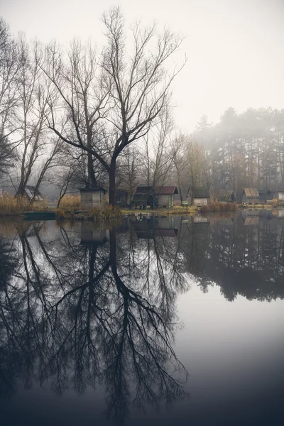 Winter landscape with a small lake, nature — Stock Photo, Image