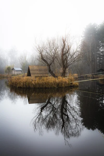 小さな湖、自然のある冬景色 ロイヤリティフリーのストック写真