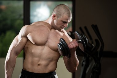 Man In The Gym Exercising Biceps With Dumbbells