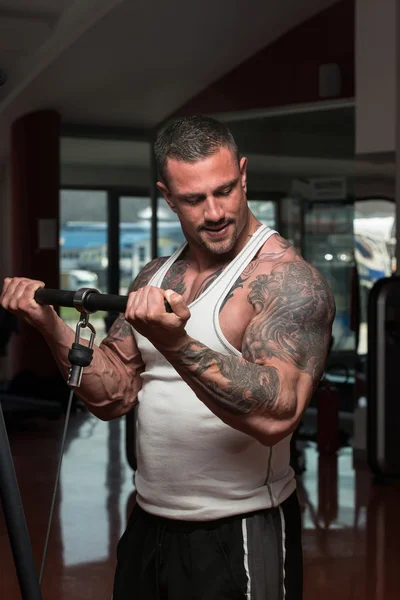 Bodybuilder Doing Exercise For Biceps — Stock Photo, Image