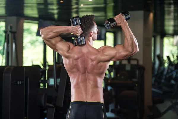 Dumbbells And Well Trained Back — Stok Foto