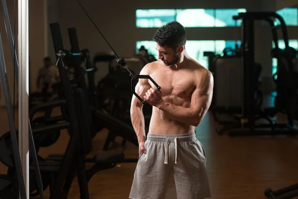 Joven ejercitando tríceps en el gimnasio —  Fotos de Stock