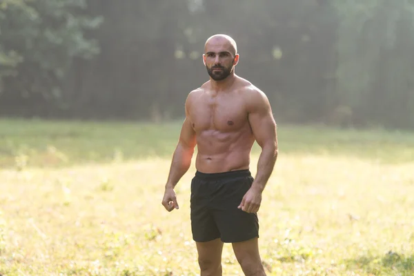 Adult Man Boxing Workout Outdoors In Park