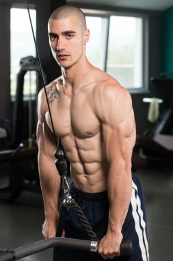 triceps egzersiz vücut geliştirmeci