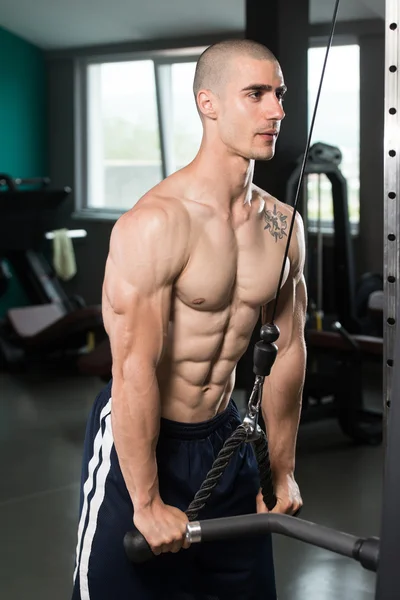 Joven ejercitando tríceps en el gimnasio — Foto de Stock