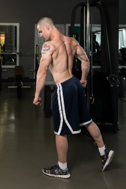 Genç vücut geliştirmeci esneme kasları Triceps